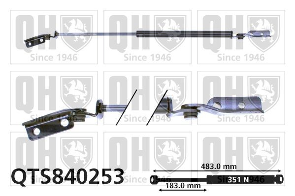 Amortecedor de tampa de porta-malas (de 3ª/5ª porta traseira) para Nissan Almera I N15